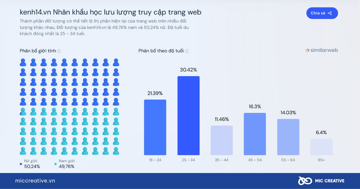  Nhân khẩu học lưu lượng truy cập website