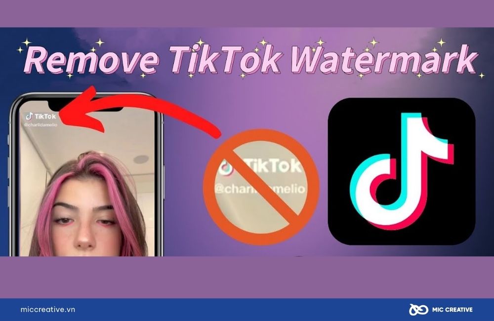 Việc xóa hình mờ logo TikTok phụ thuộc vào mục đích sử dụng video của mỗi cá nhân.