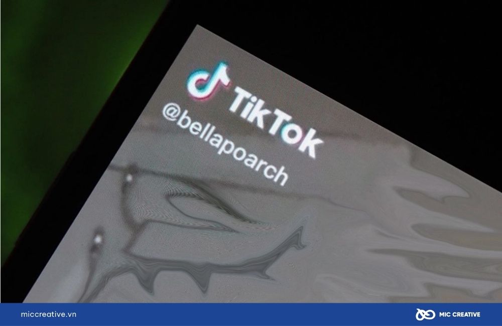 Bất kỳ video nào khi tải về đều có hình mờ logo TikTok.