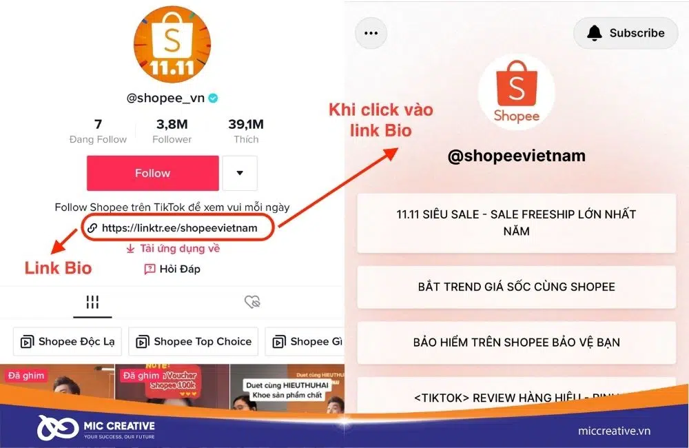 Đừng quên rằng bạn cũng được phép gắn 01 Link trong hồ sơ