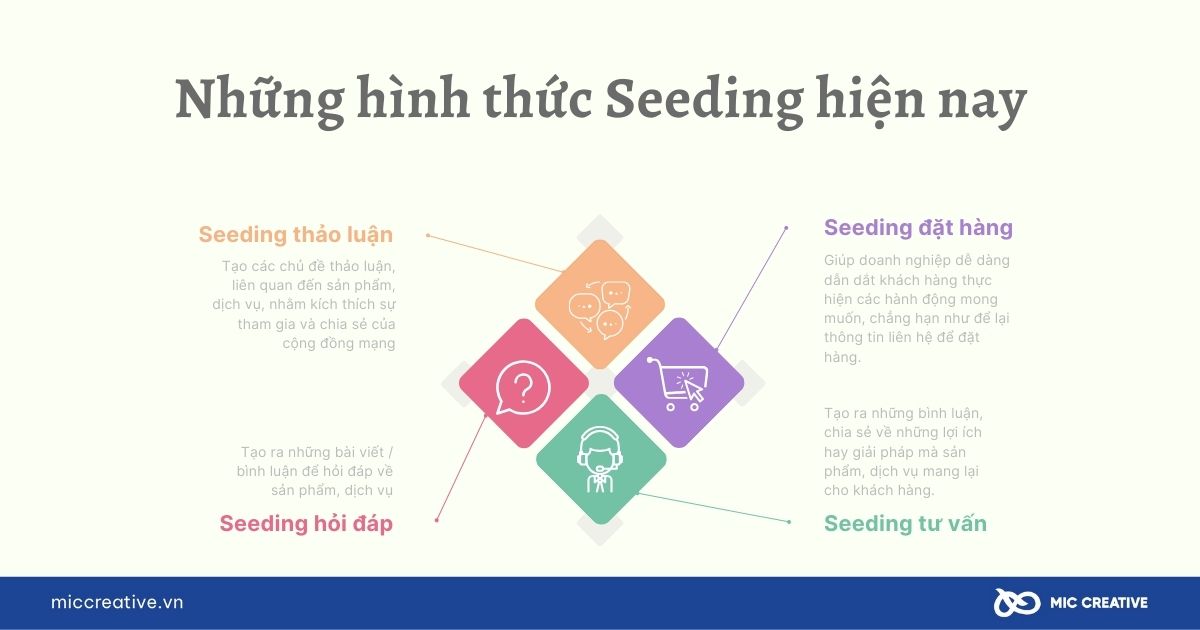 4 hình thức Seeding