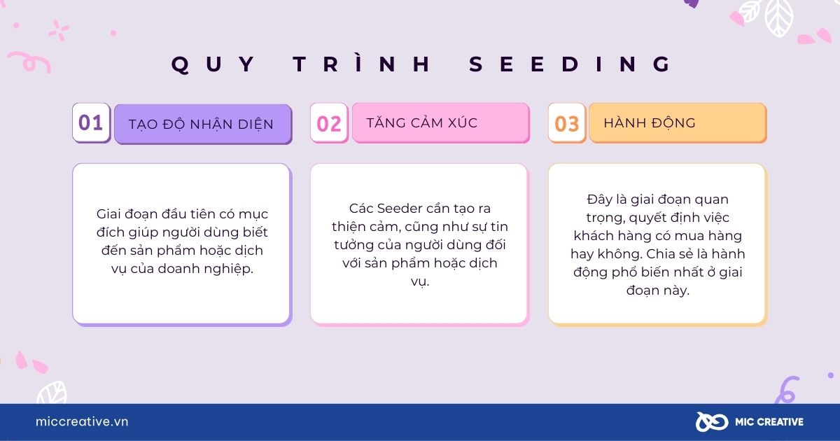 Các giai đoạn của quy trình Seeding