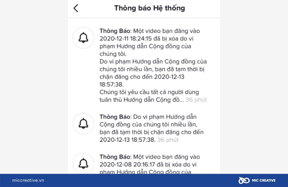 Cảnh cáo vi phạm bản quyền trên TIkTok