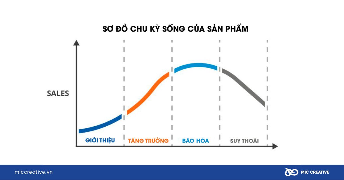 Chu kỳ sống của sản phẩm