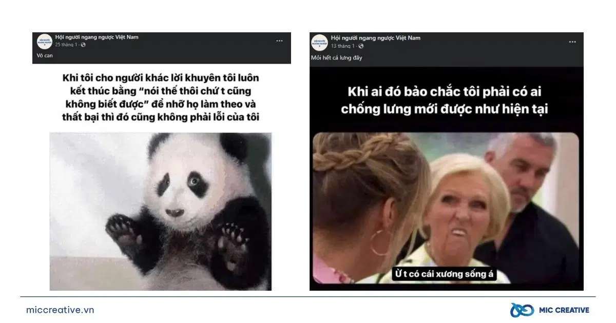 Cộng đồng yêu thích nội dung Meme vì tính hài hước, giải trí