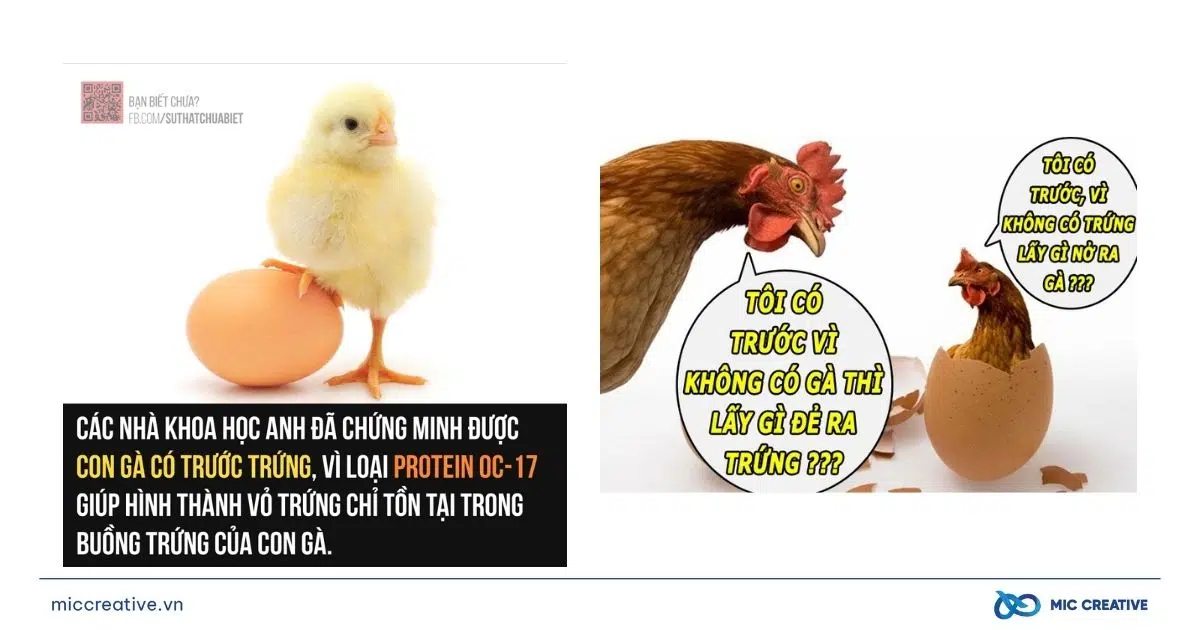 Ví dụ content lập luận