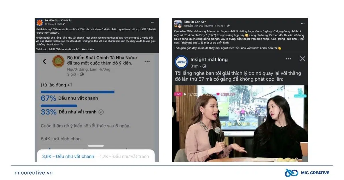 Minh họa nội dung về sai chính tả