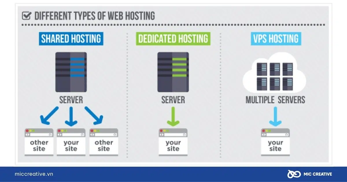Sự khác nhau giữa các loại Hosting