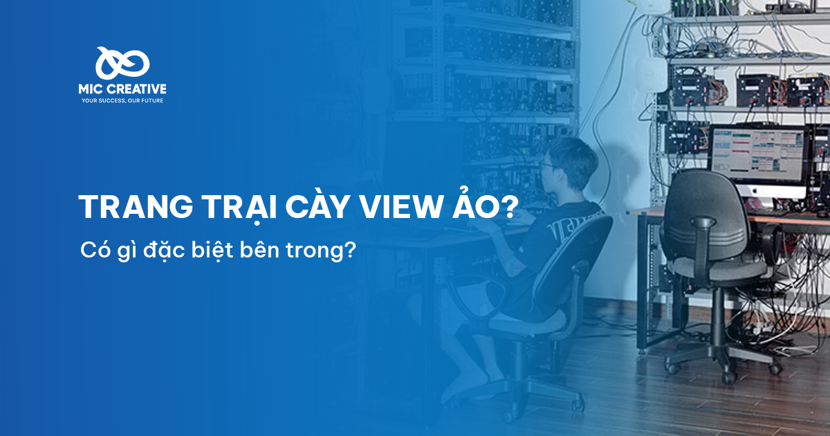 Bên trong những trang trại cày view ảo tại Việt Nam có gì?