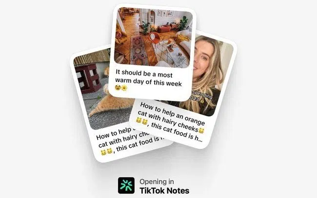 TikTok sắp ra mắt ứng dụng chia sẻ ảnh TikTok Notes cạnh tranh với Instagram