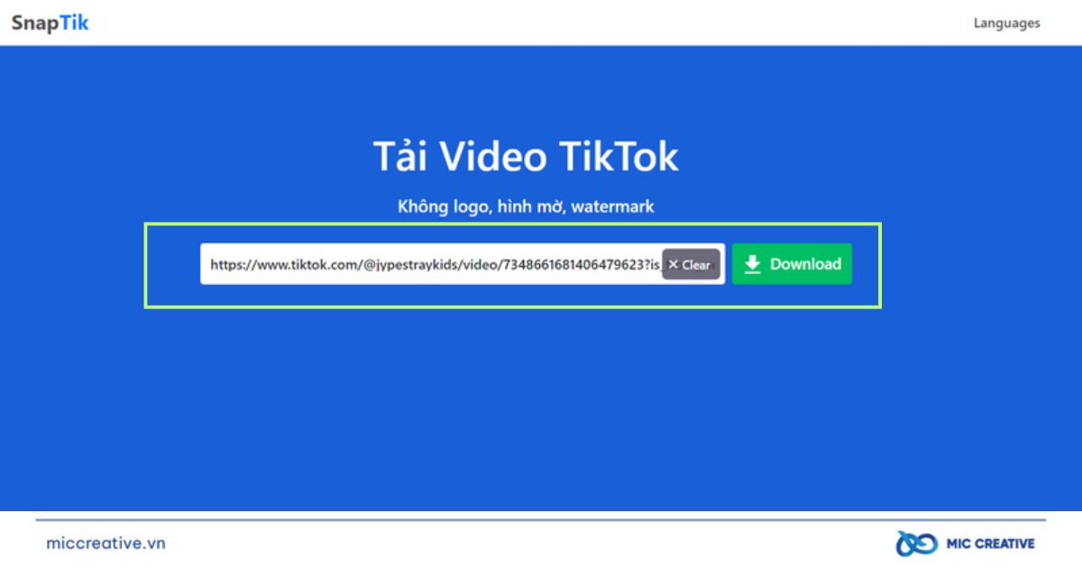 Gắn link Video TikTok vào SnapTik