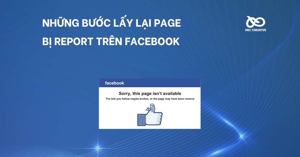 Những bước lấy lại Page bị Report