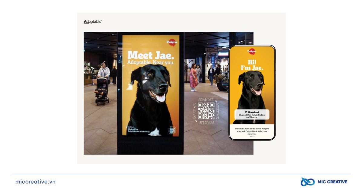 Chiến dịch Adoptable - dùng AI tạo "portfolio" cho chó của Pedigree