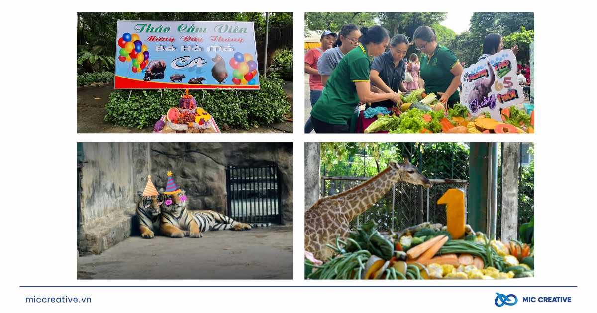 Thảo Cầm Viên Sài Gòn: Khi gắn kết là sức mạnh hồi sinh mạnh mẽ khoanh khac sinh nhat ron rang
