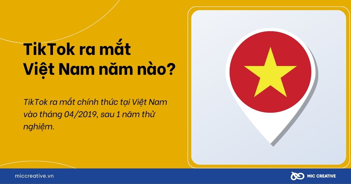 TikTok ra mắt Việt Nam năm nào?