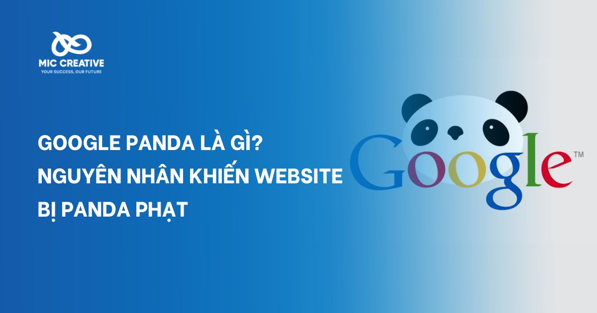 Google Panda là gì? Nguyên nhân khiến website bị Panda phạt