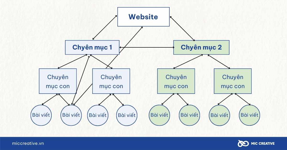 Cấu trúc liên kết nội bộ theo mô hình Pyramid