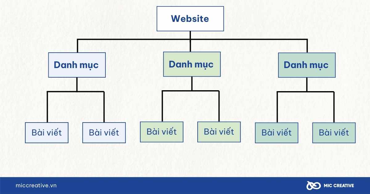 Tổ chức cấu trúc website