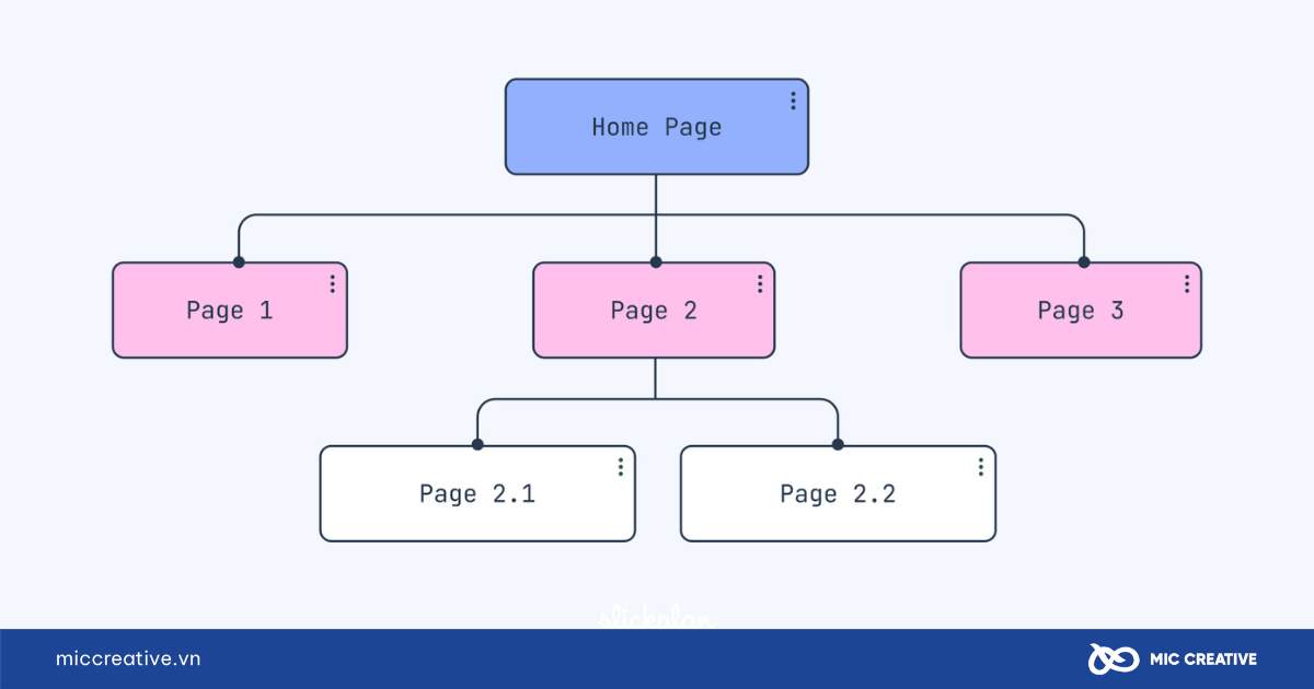 Cấu trúc phân cấp của website