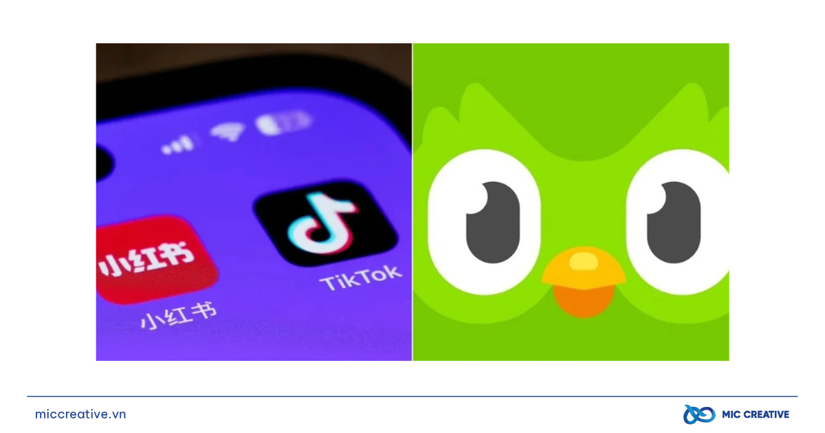 “Thâm độc” như Duolingo: “Chơi xỏ” Tiktok trước thềm lệnh cấm tại Mỹ bằng loạt bài đăng hài hước duolingo choi xo tik tok bang loat bai dang hai huoc 4