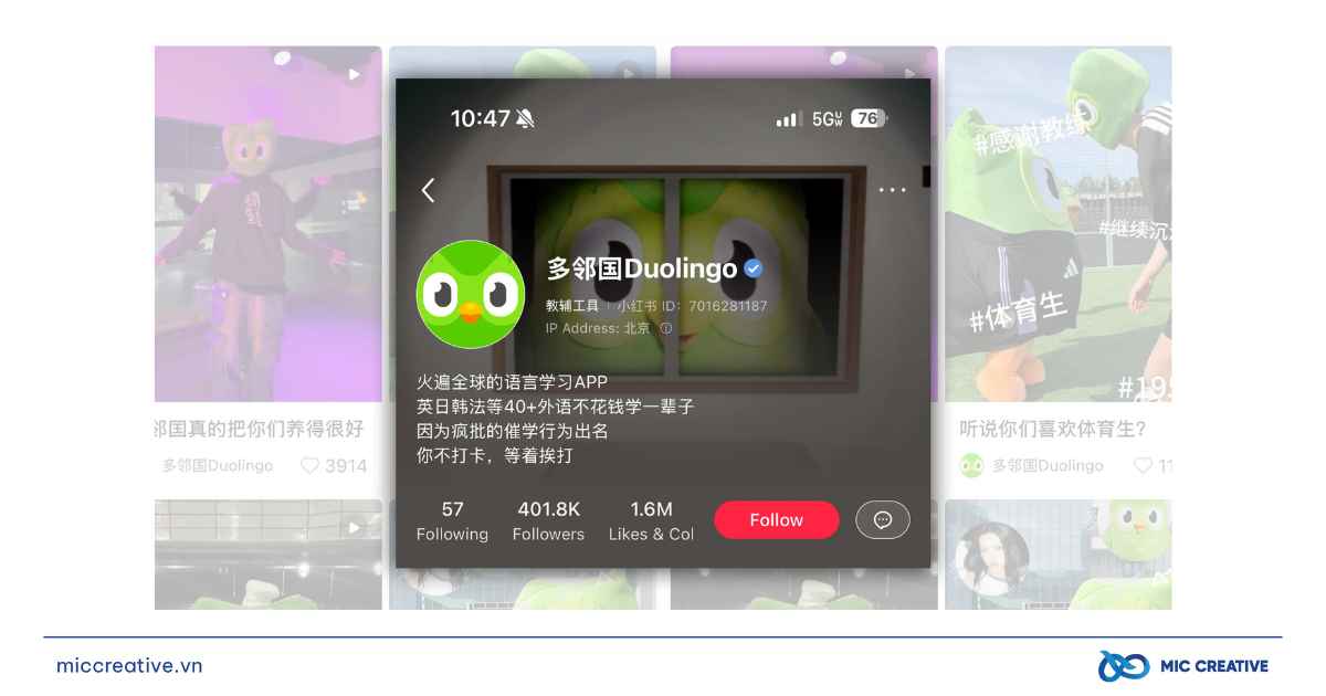 “Thâm độc” như Duolingo: “Chơi xỏ” Tiktok trước thềm lệnh cấm tại Mỹ bằng loạt bài đăng hài hước duolingo choi xo tik tok bang loat bai dang hai huoc 8