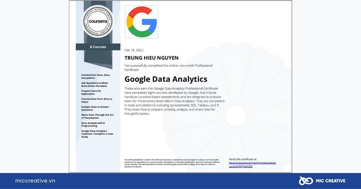 Google Data Analytics Professional Certificate