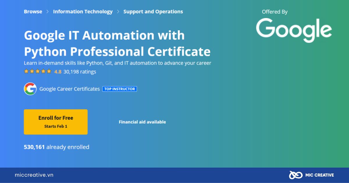 Google IT Automation with Python Professional Certificate