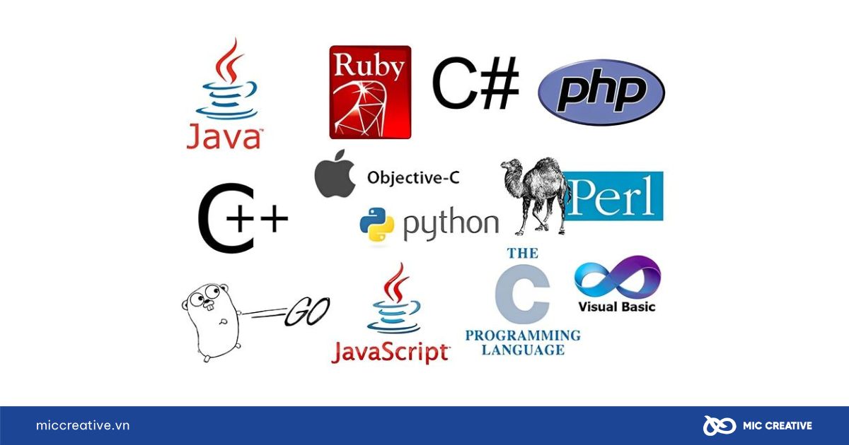 code là gì