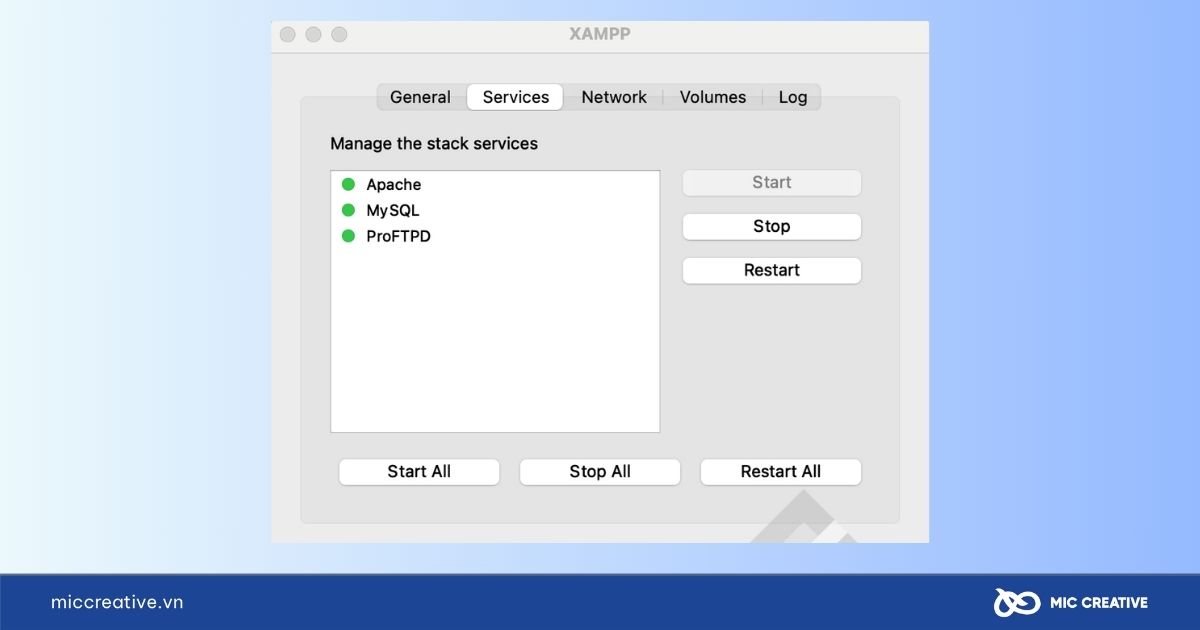 Nhấp Start All