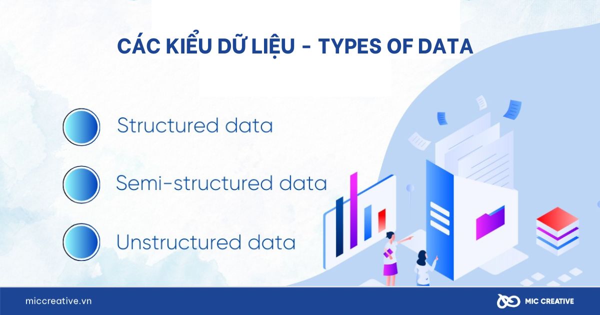 Phân loại Big Data