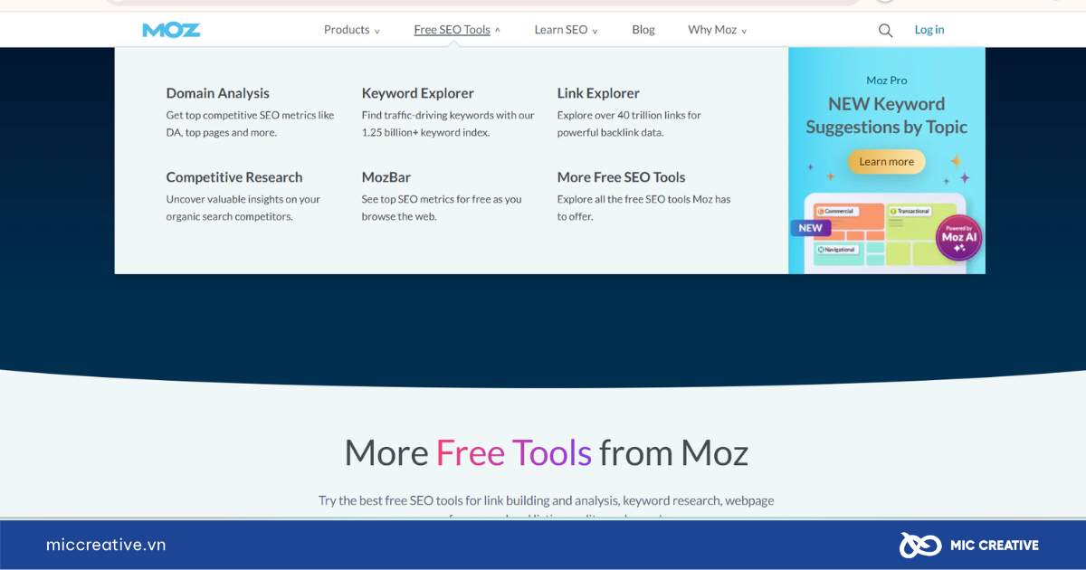 phần mềm seo web