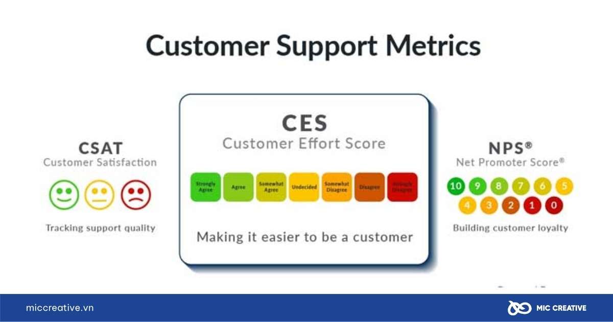 Customer insights