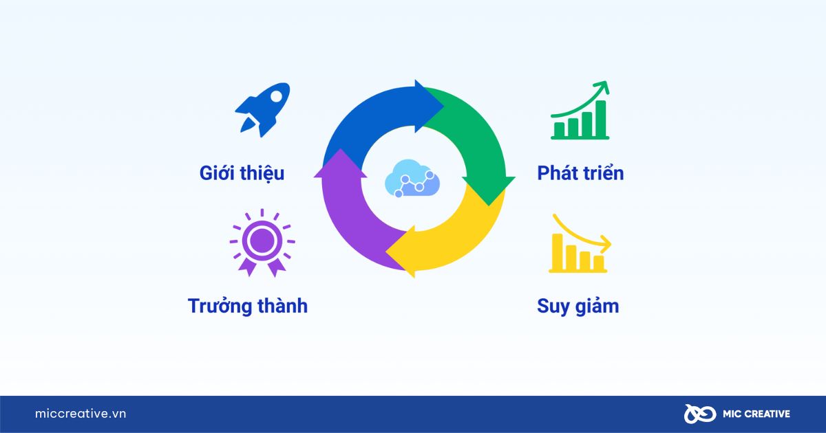 Chiến lược dựa trên vòng đời sản phẩm