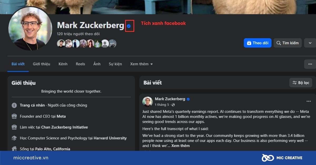 Tích xanh Facebook là gì?