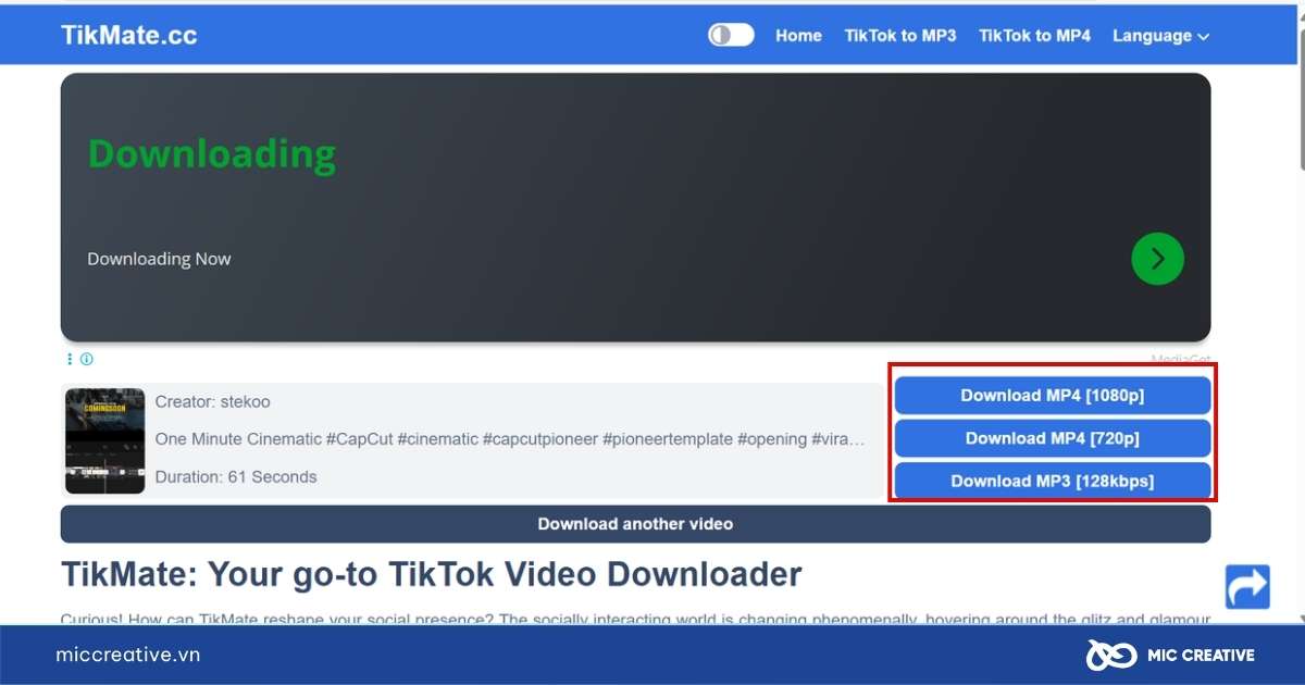 tải video tiktok không logo