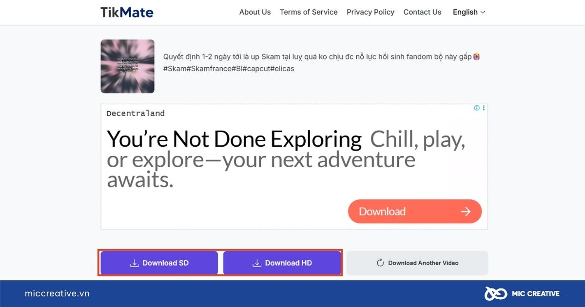 Tải video TikTok không logo