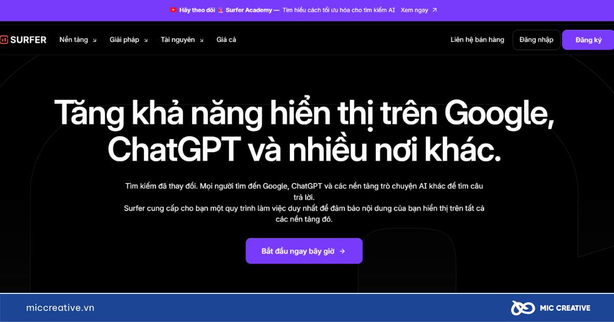 Phần mềm seo website