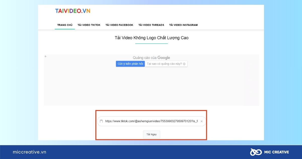 Tải video TikTok không logo