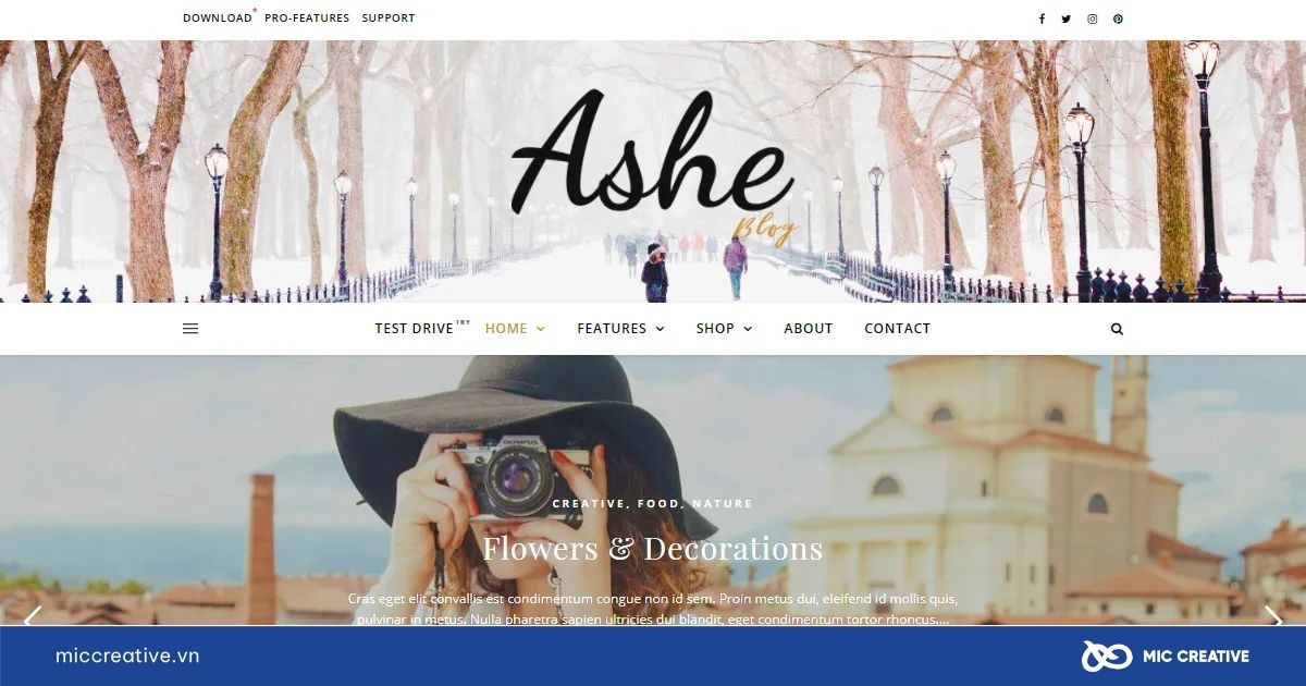 Theme WordPress Ashe
