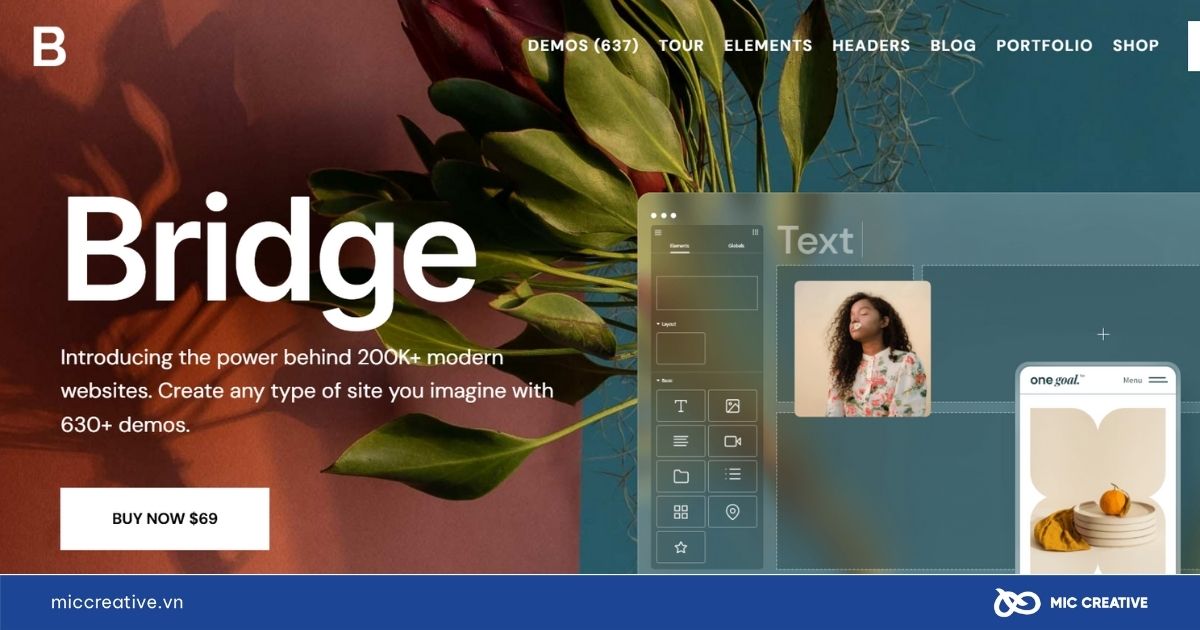 Theme WordPress Bridge