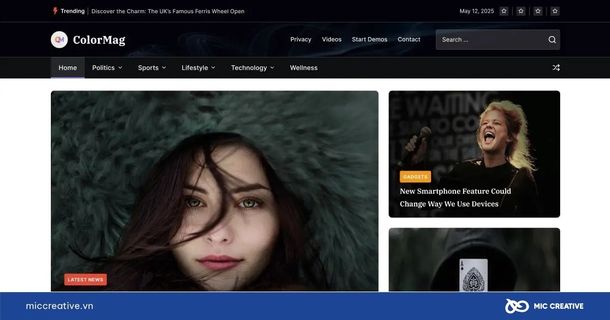 Theme WordPress ColorMag