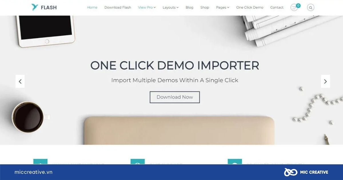 Theme WordPress Flash