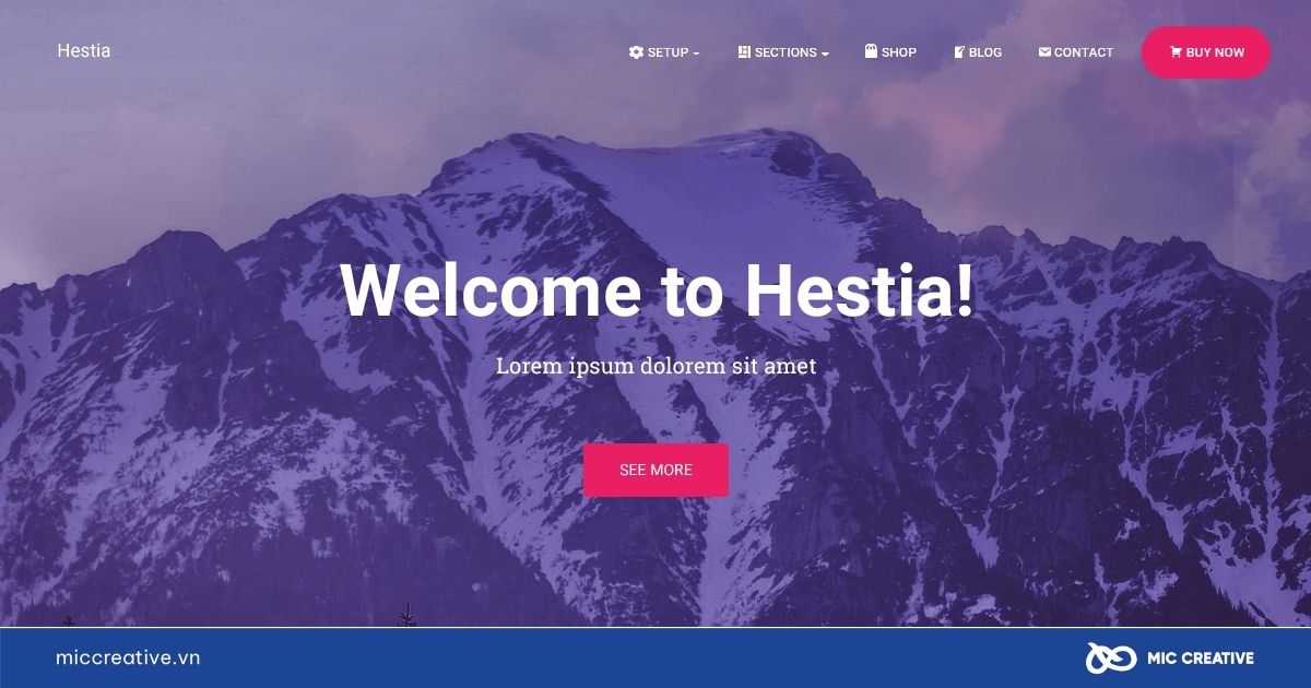 Theme WordPress Hestia