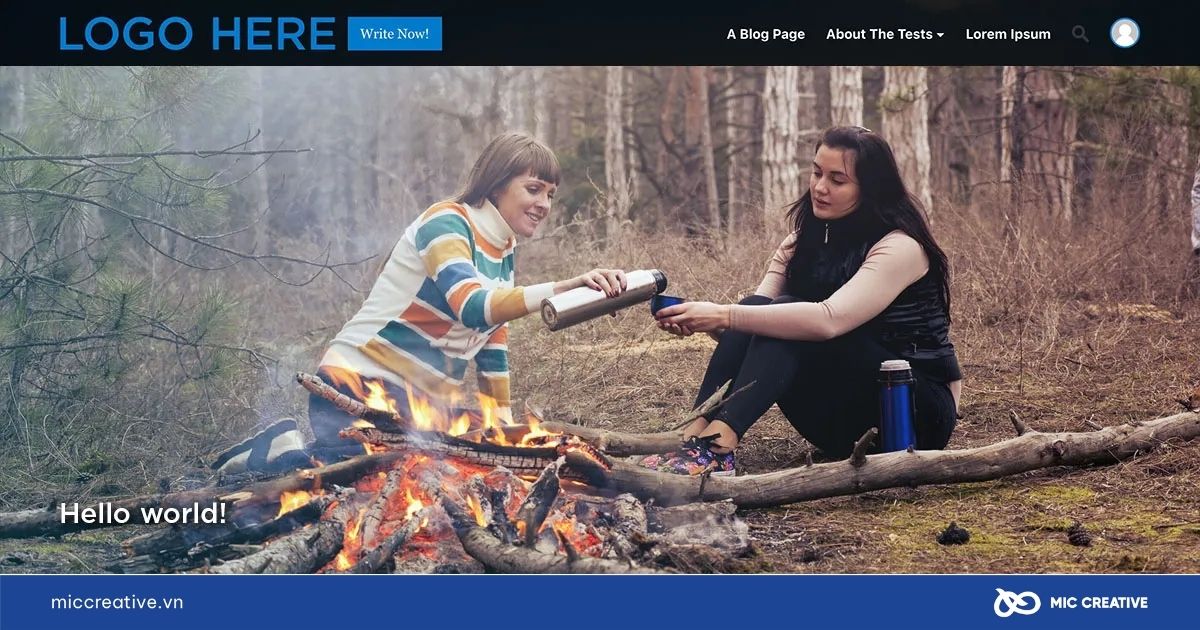 Theme WordPress Publisher
