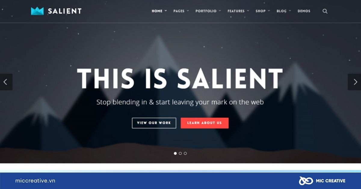 Theme WordPress Salient