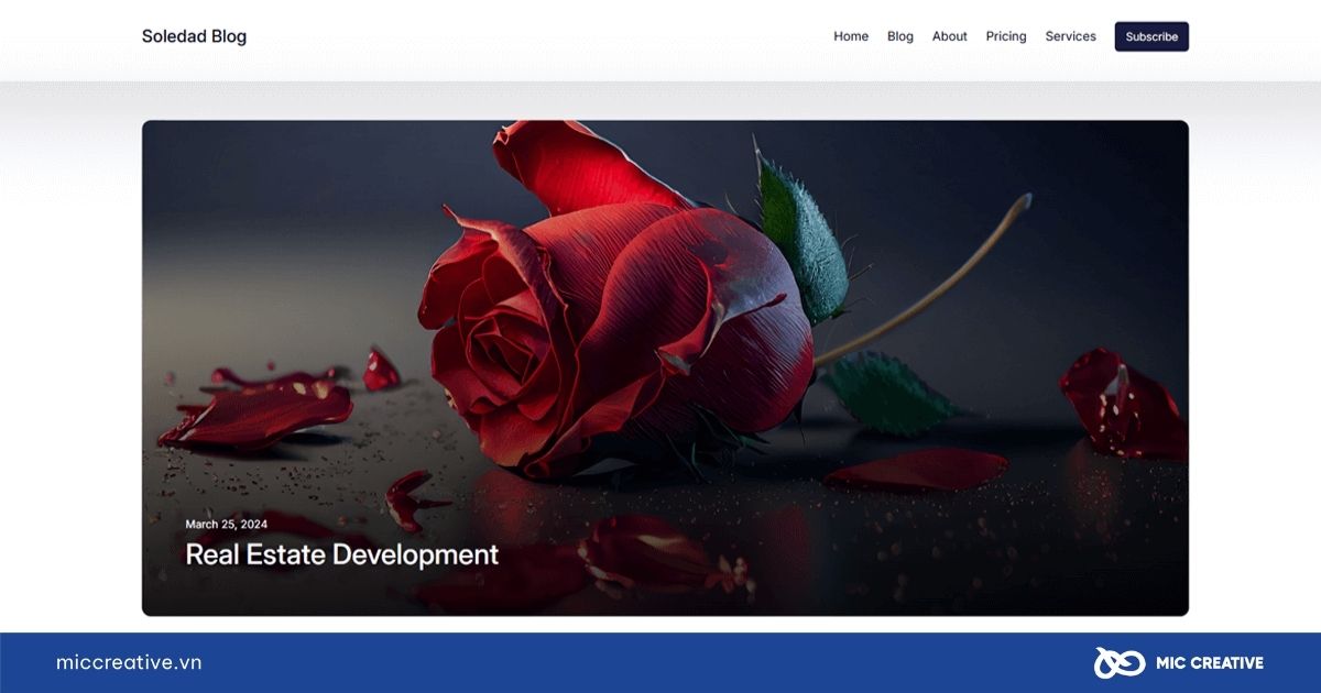 Theme WordPress Soledad