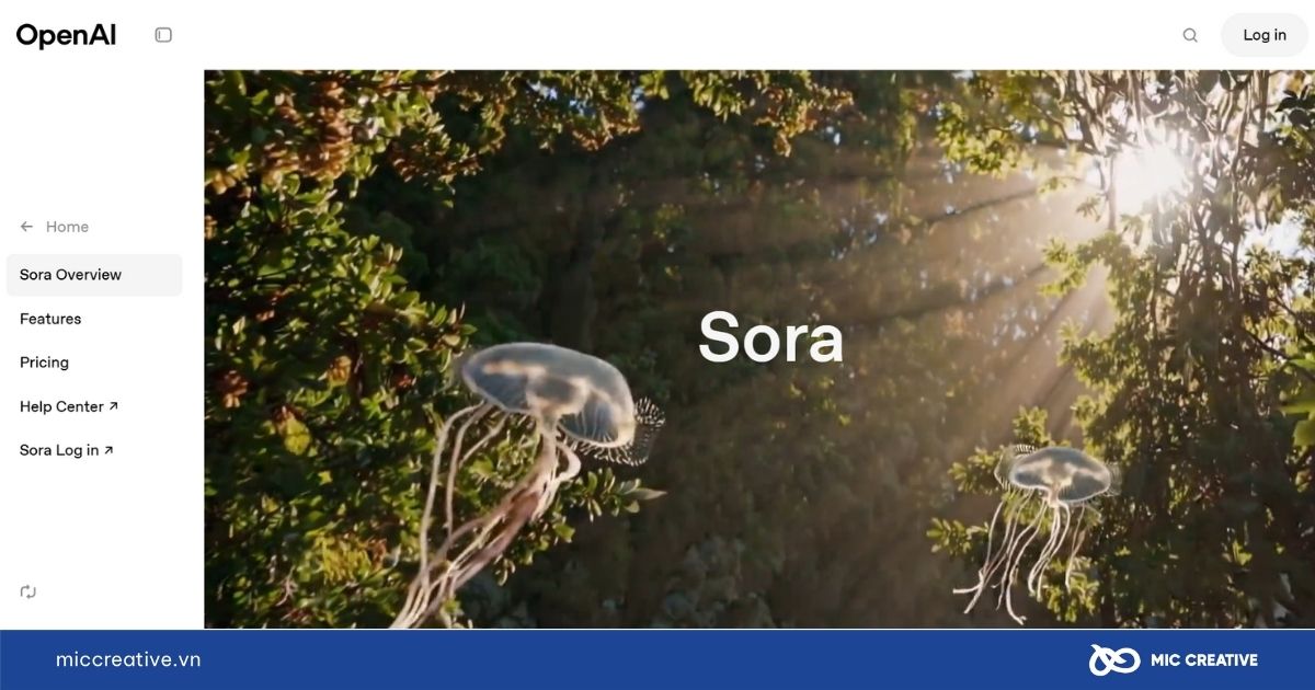 Web AI Sora