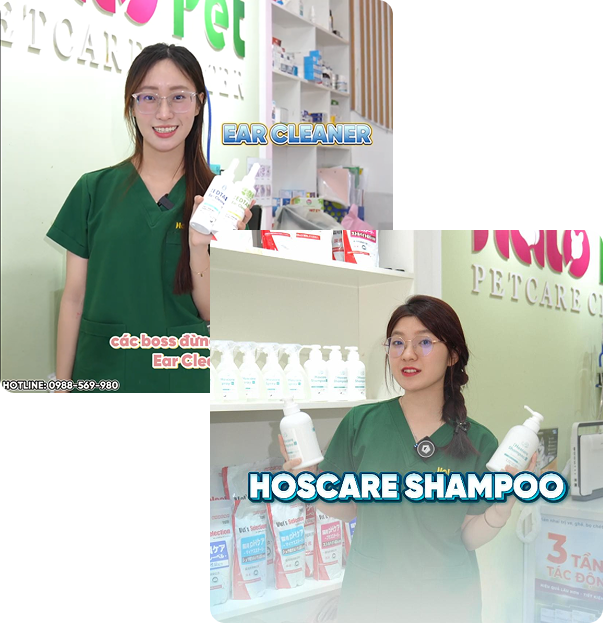 Dịch vụ Xây kênh Tik Tok cam kết tăng trưởng, chuyển đổi tốt Group 2115