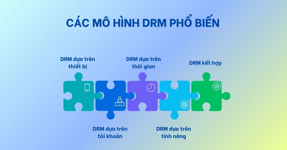 Các mô hình DRM phổ biến