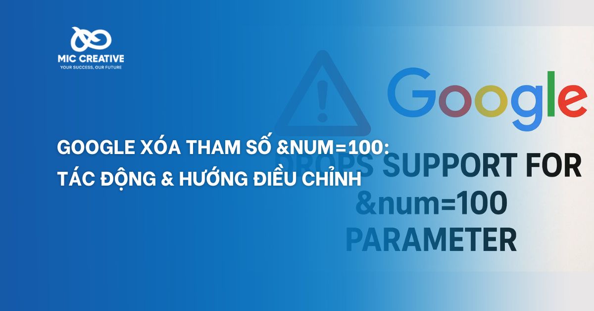 tham số &num=100